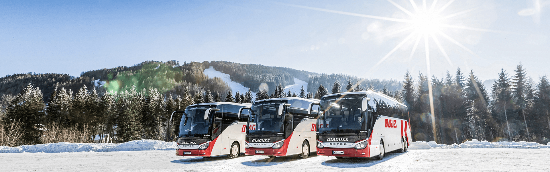Blaguss Busse in winterlicher Landschaft