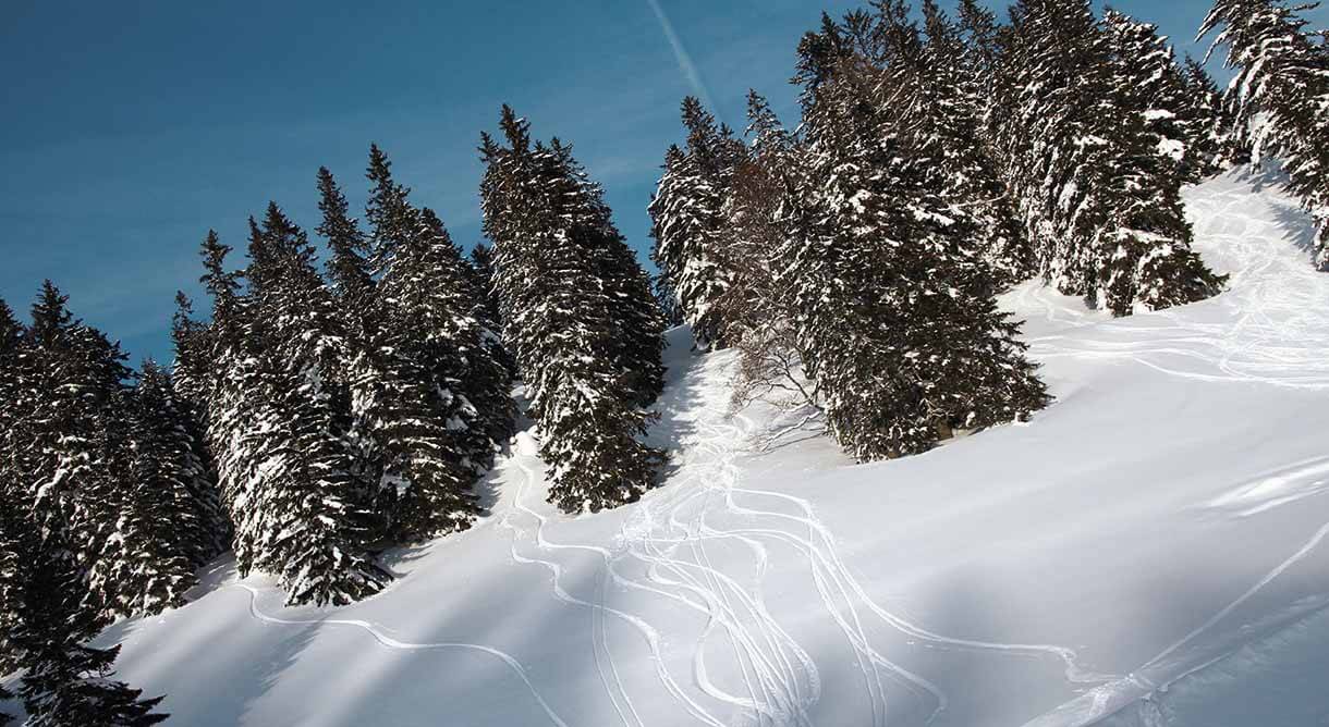 Winterlandschaft Niederalpl
