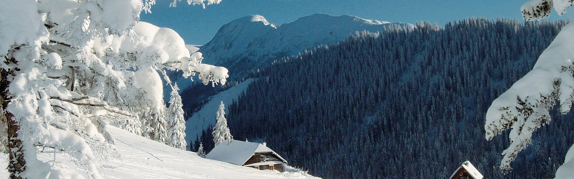Winterlandschaft Niederalpl