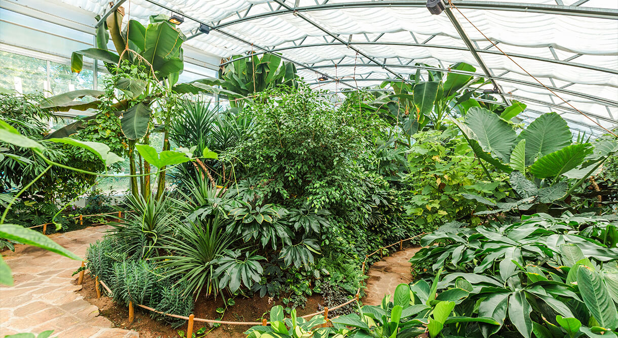 Schmetterlingshaus im Dumba Park