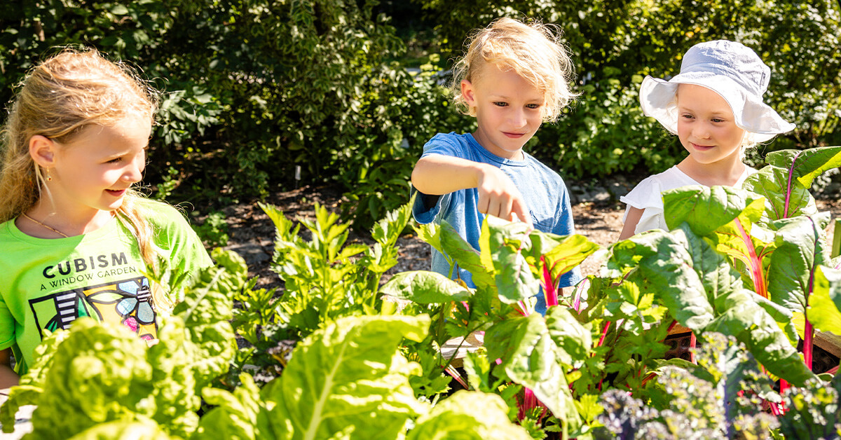 Garten Tulln Erlebnistour