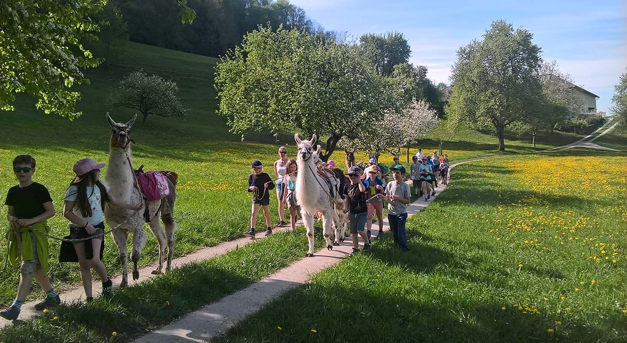 Kinder wandern mit Lamas