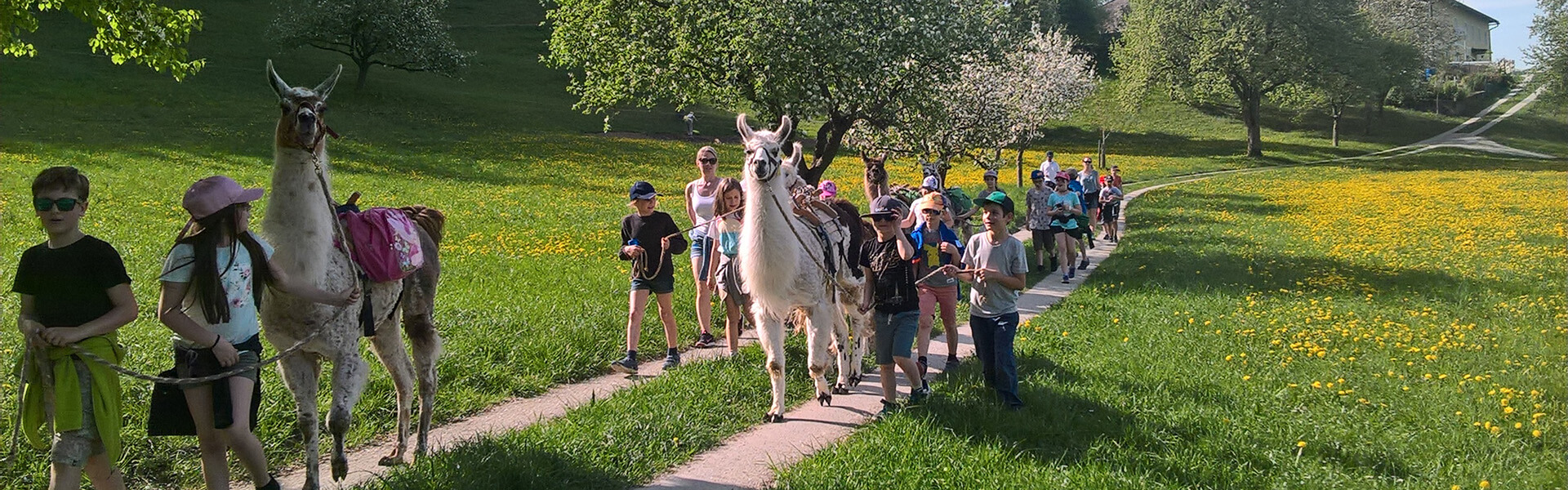Kinder wandern mit Lamas