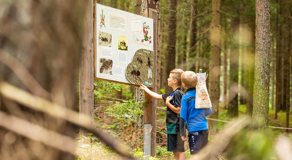 Kinder lesen Tafel im Motorikpark