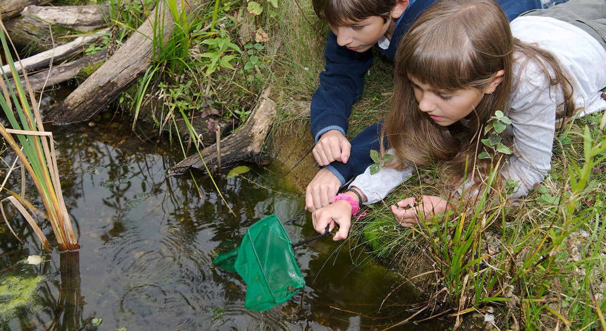 Entdeckungsreise im Nationalpark Donau-Auen