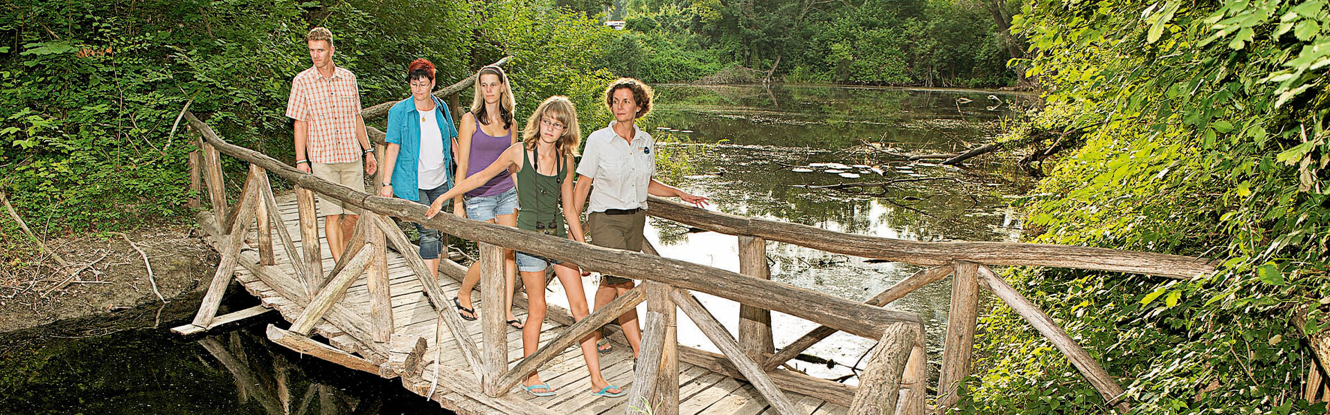 Brücke im Nationalpark Donau-Auen