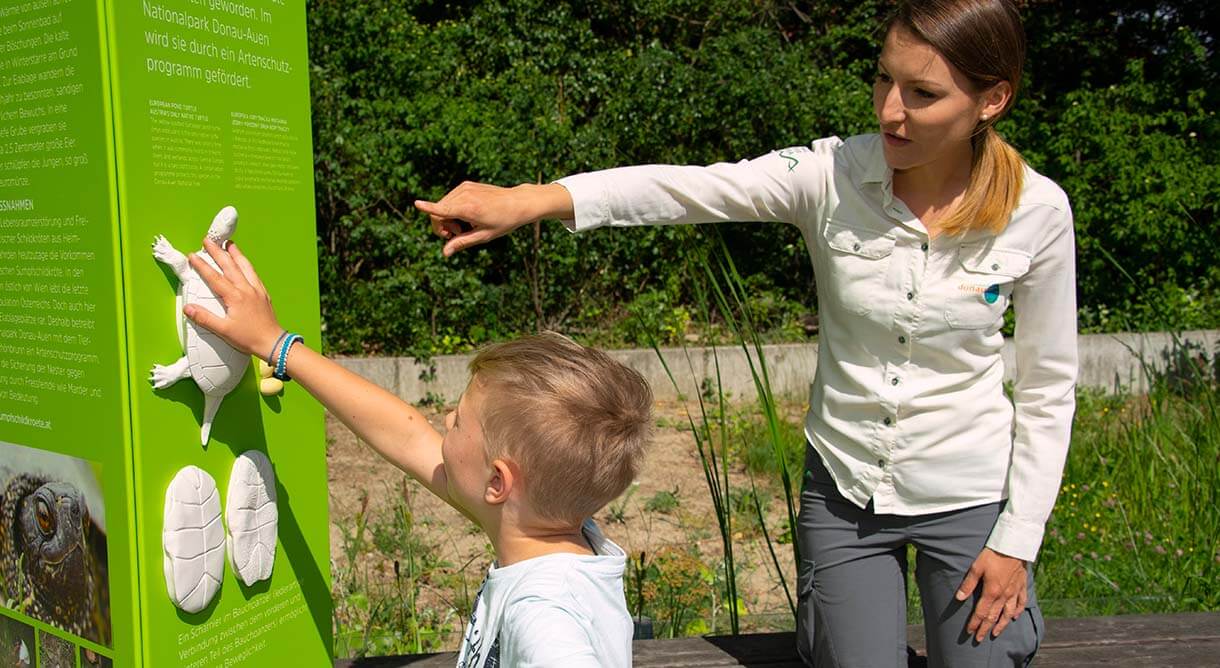 Entdeckungsreise im Nationalpark Donau-Auen
