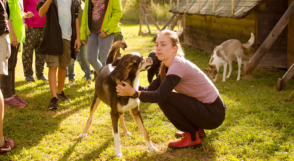 Hunde im Kinderhotel Appelhof