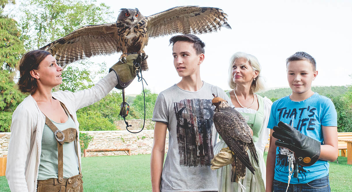Führung Ritterburg Lockenhaus