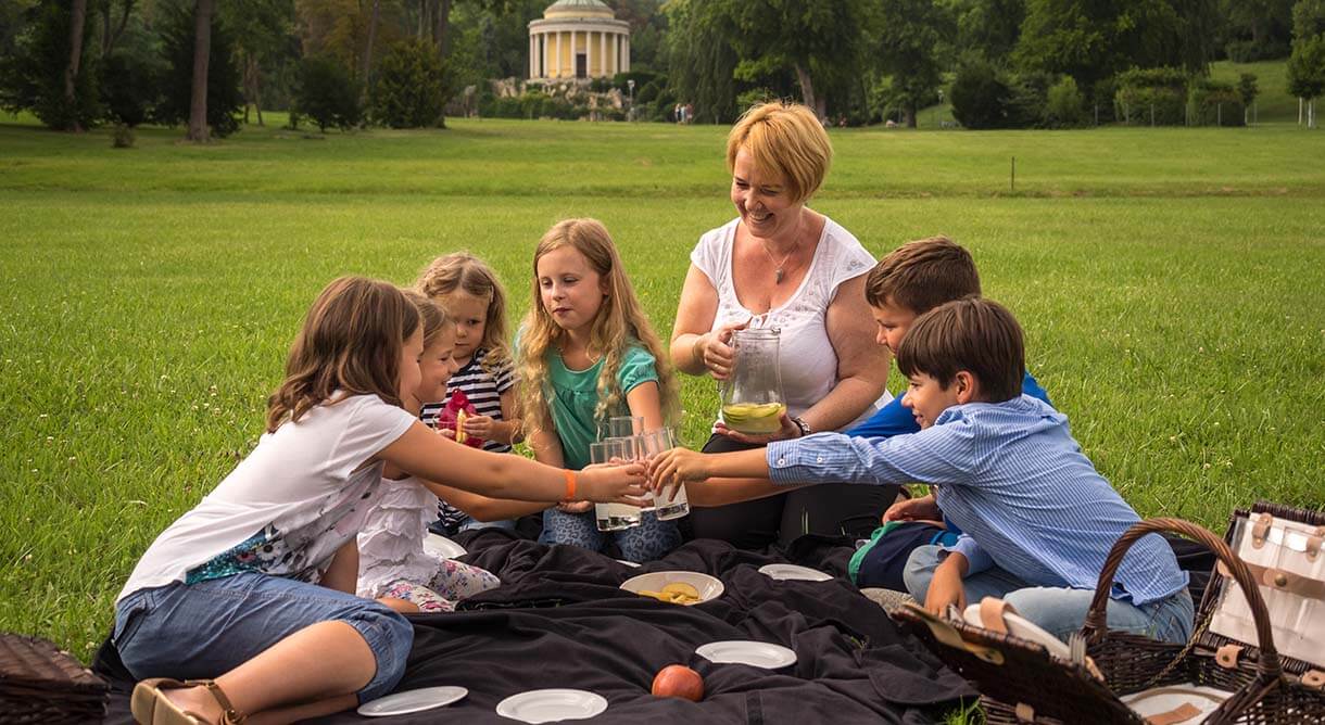 Picknick im Park 