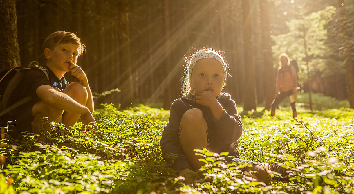 Kinder im Wald
