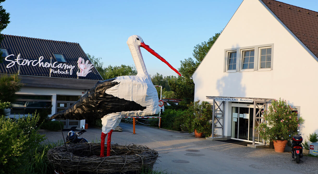 Storchencamp Purbach am Neusiedlersee