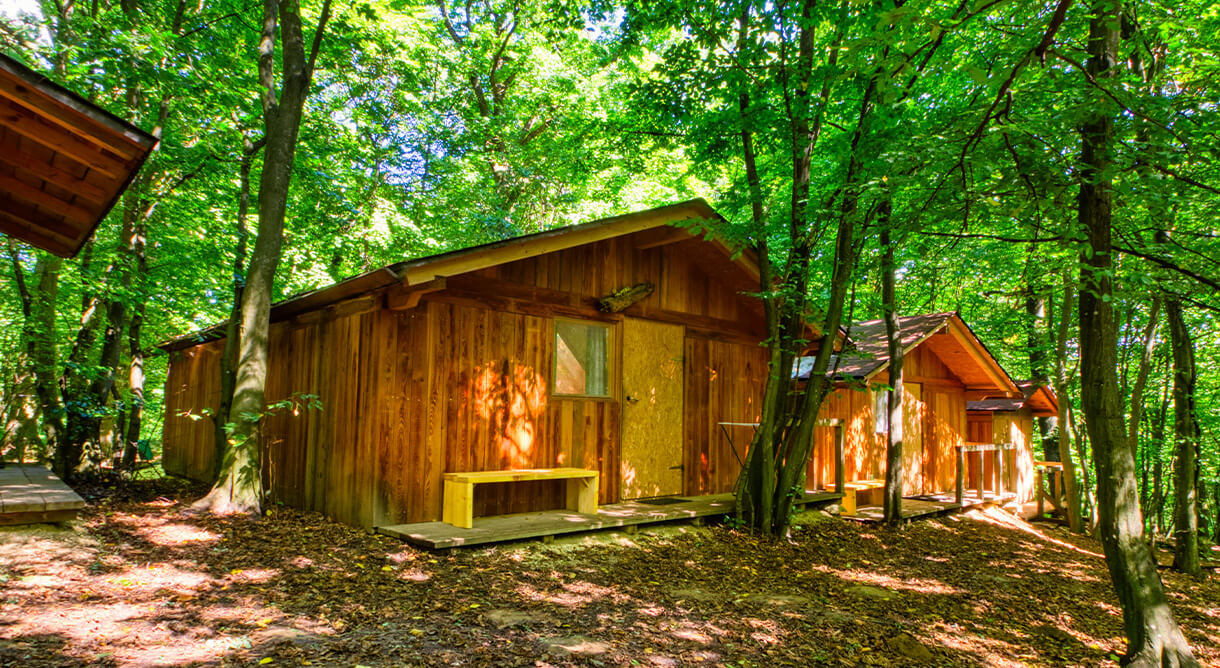 Hütten im Waldfreizeitpark Kreuzstetten