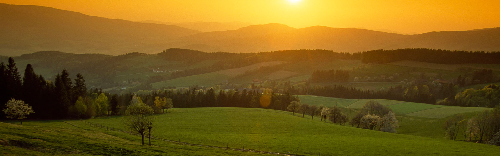 Kräftereich und Felber Schokolade