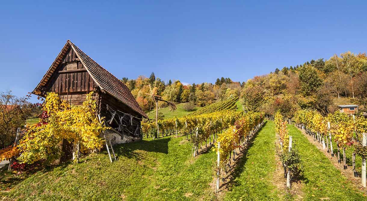 Steirische Weinstraße
