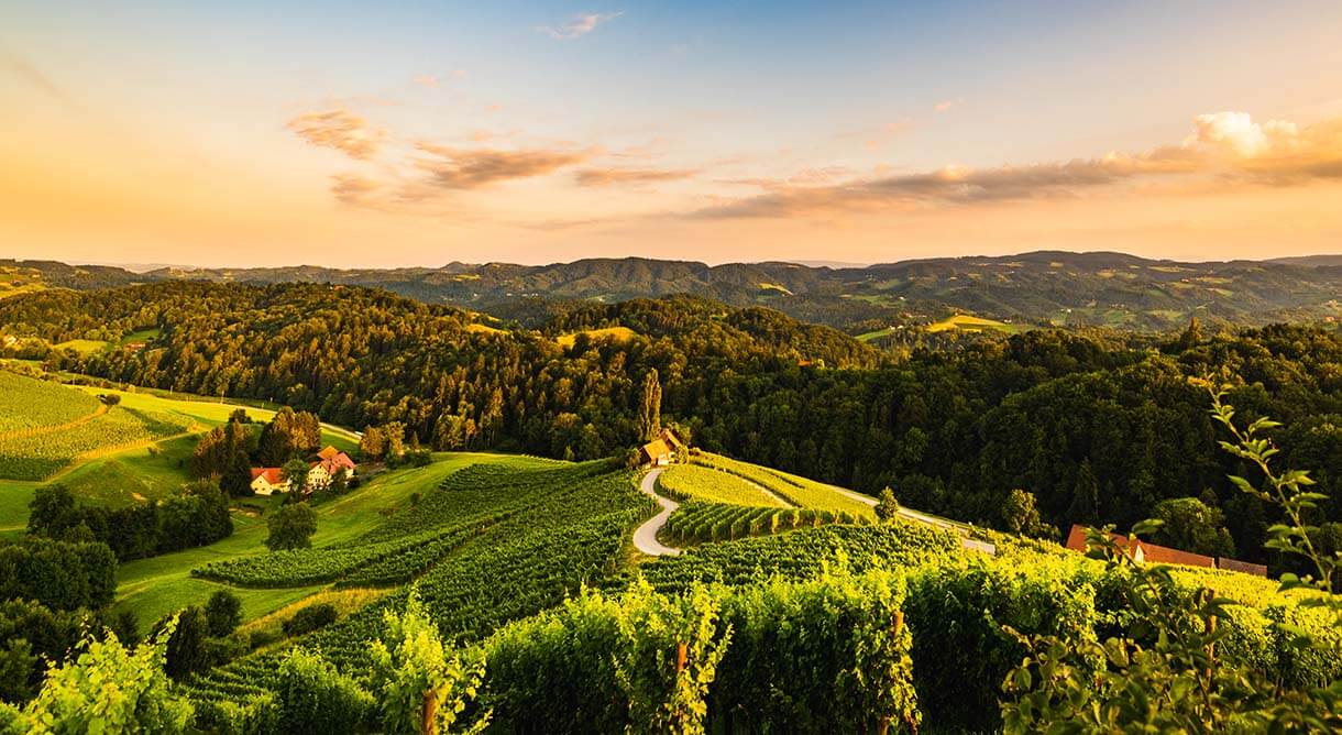 Steirische Weinstraße
