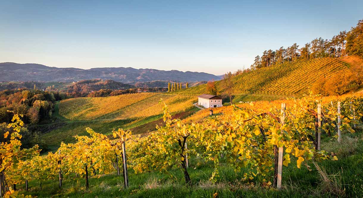 Steirische Weinstraße