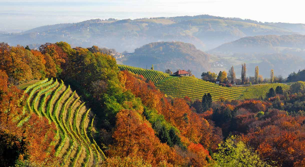 Steirische Weinstraße