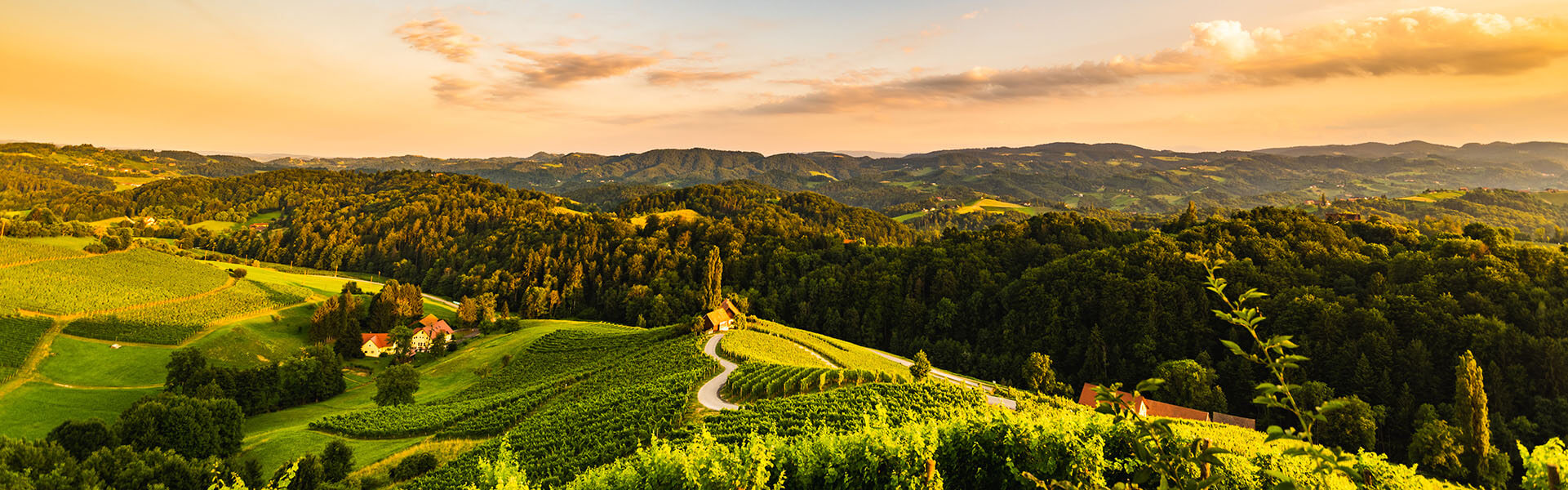 Steirische Weinstraße