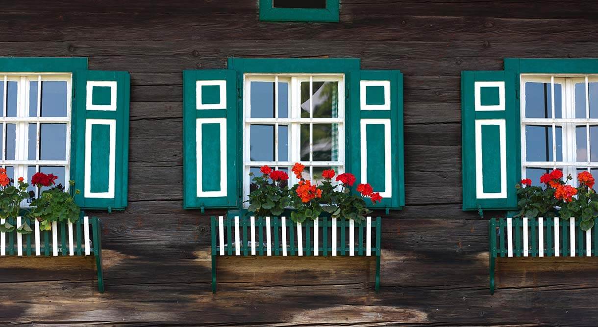 Fenster mit Blumen