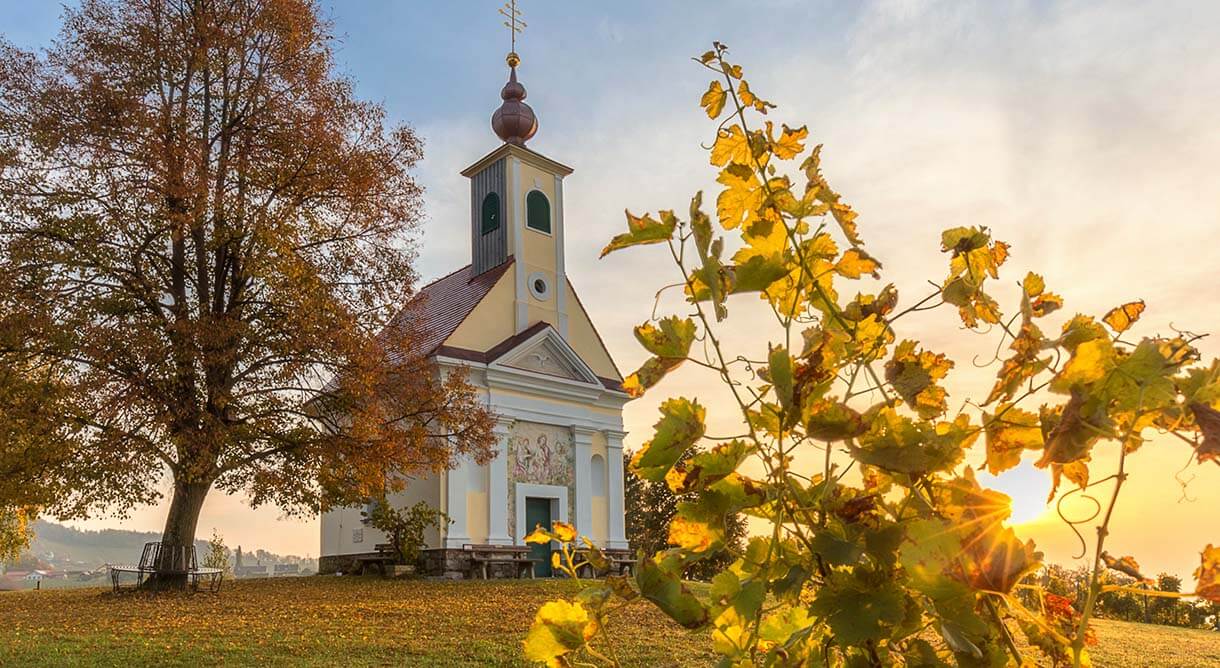Wein Kultur und Traktorgaudi